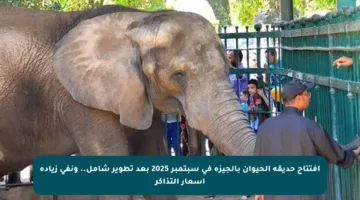 افتتاح حديقة الحيوان بالجيزة في سبتمبر 2025 بعد تطوير شامل.. ونفي زيادة أسعار التذاكر